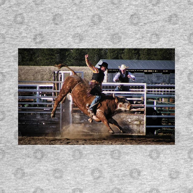 Rodeo Bull Rider by colorful